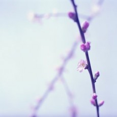 Stillness Stillness