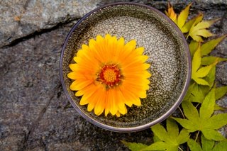 Take a moment to be still Take a moment to be still