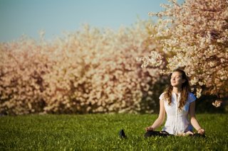 A Moment of Stillness in Nature