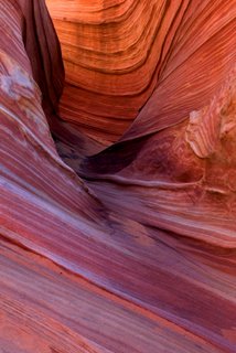 Arizona Utah