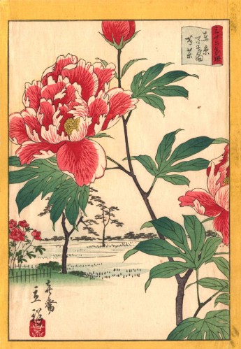 Peonies at Hyakken, #18 from the series 'Tōkyō Meisho Sanjurokkasen, Utagawa Shigenobu (1826 - 1869) Peonies at Hyakken, #18 from the series 'Tōkyō Meisho Sanjurokkasen, Utagawa Shigenobu (1826 - 1869)