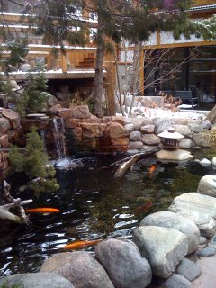 creating water gardens, a mindfulness practice water gardens, a mindfulness practice