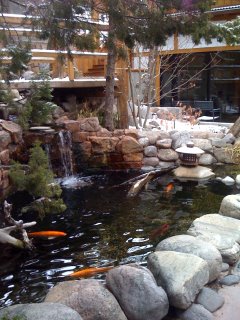 water gardens, a mindfulness practice