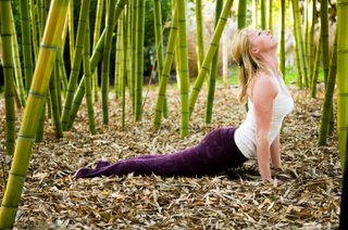 yoga practice in bamboo