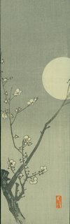 plum blossoms with moon plum blossoms with moon