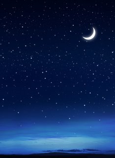 entering silence, starry night in the wilderness entering silence, starry night in the wilderness