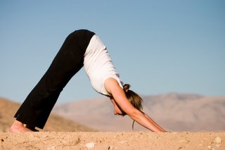yoga downward facing dog pose yoga downward facing dog pose