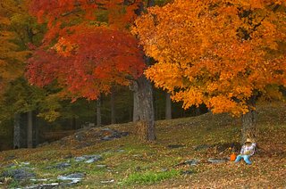 autumn, a time for wellness autumn, a time for wellness