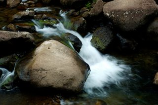 set your zen timer for a mini-meditation set your zen timer for a mini-meditation