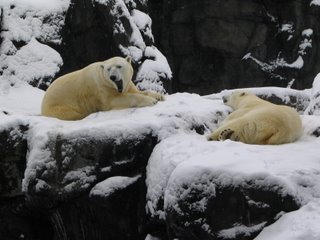 Time for Winter's Nap Time for Winter's Nap