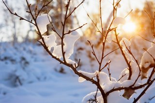 Warm winter sun Warm winter sun
