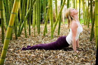 better posture from yoga better posture from yoga