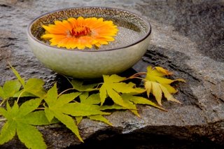 soothing meditation timers and mindfulness practice tools soothing meditation timers and mindfulness practice tools