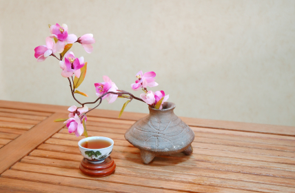 orchid orchid