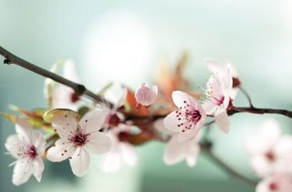 What is a Listening Meditation? What is a Listening Meditation?