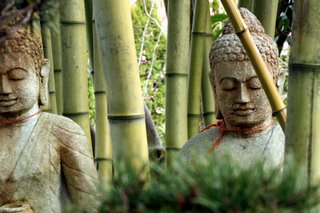 Walking Meditation Walking Meditation